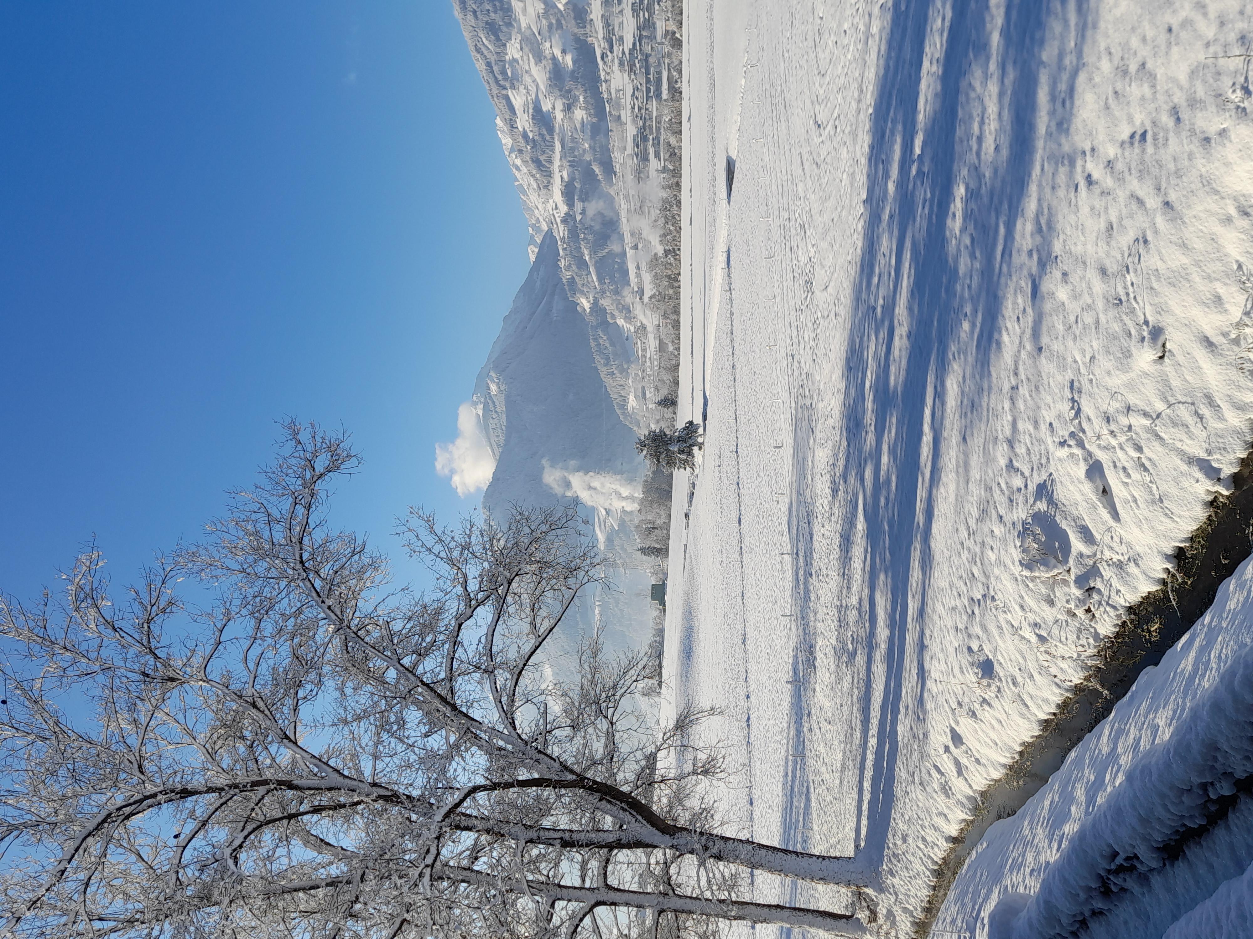 feratel-Ferienwohnung Rose - 20231203_100336