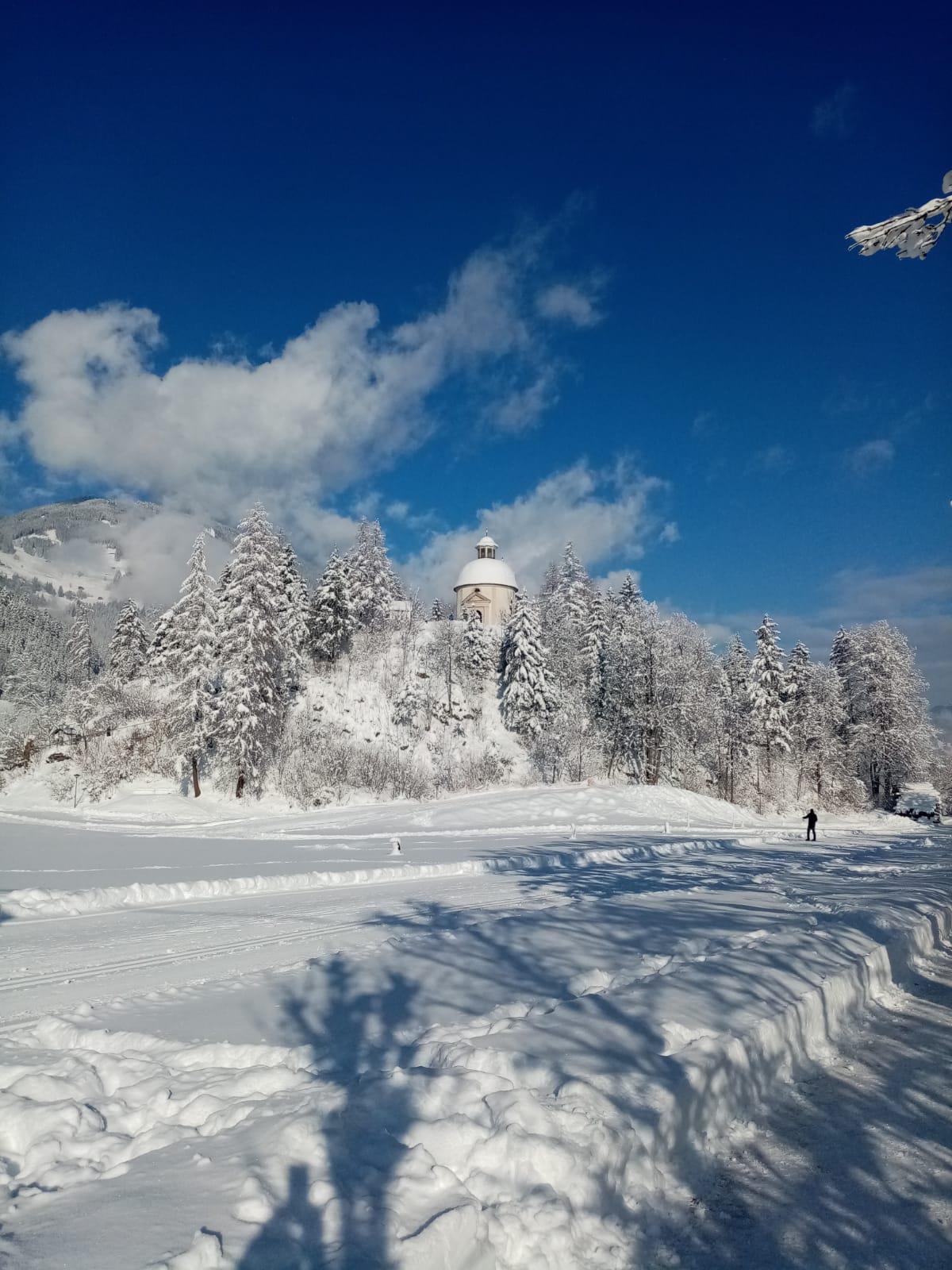 feratel-Landhaus Barbara - IMG-20210610-WA0000