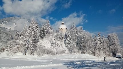 feratel-Landhaus Barbara - IMG-20210610-WA0000