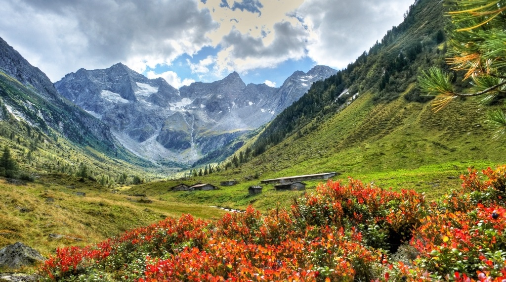 mys-Hochgebirgs-Naturpark Zillertaler Alpen-Media Upload