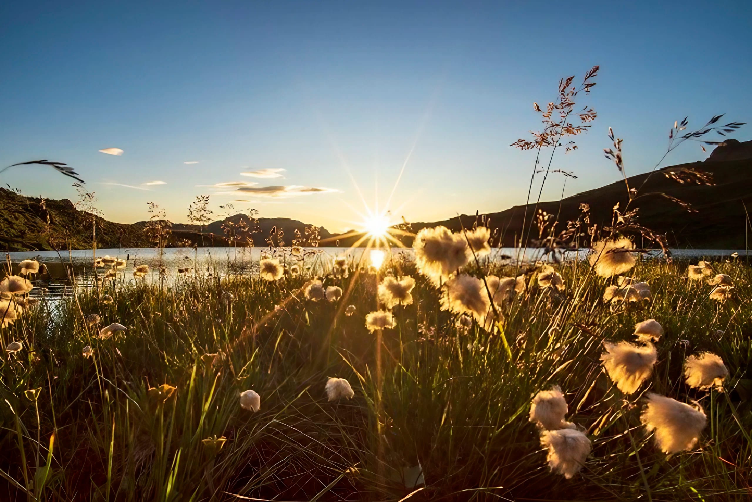 Sonnenaufgang über dem Torsee, man sieht eine Wiese mit Blumen und Berge im Hintergrund