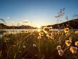 mys-Sonnenaufgang über dem Tuxertal-Sonnenaufgang über dem Torsee Sonnenaufgang über dem Tuxertal