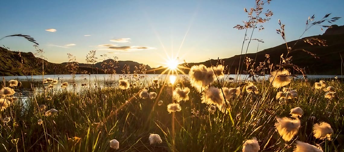 Sonnenaufgang über dem Torsee, man sieht eine Wiese mit Blumen und Berge im Hintergrund