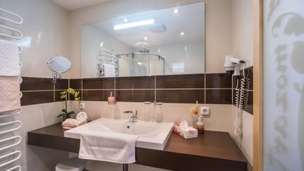 feratel-Appartement Mozart - Badezimmer-Waschbecken