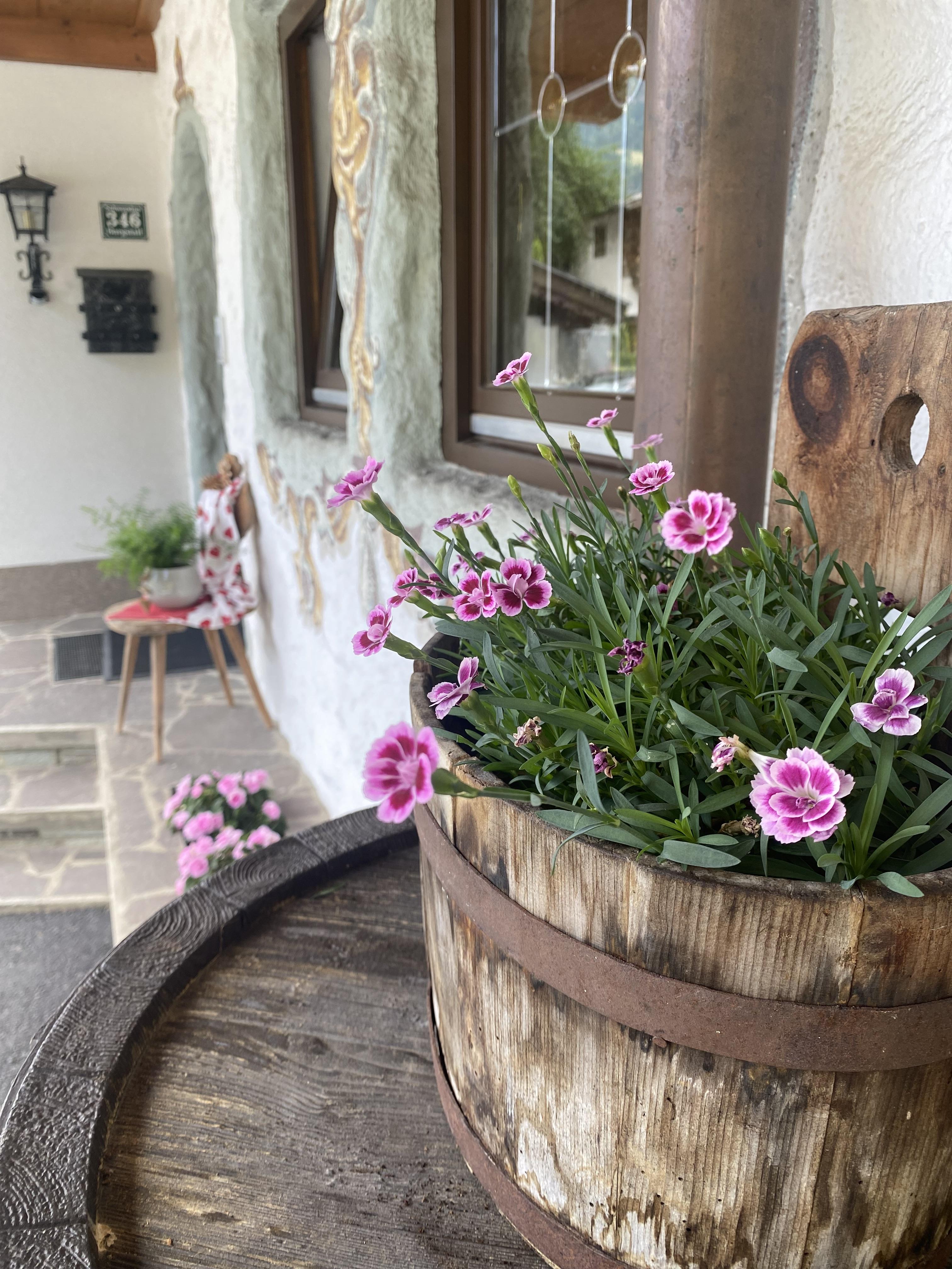 feratel-Ferienwohnungen Mauracher - IMG_7833