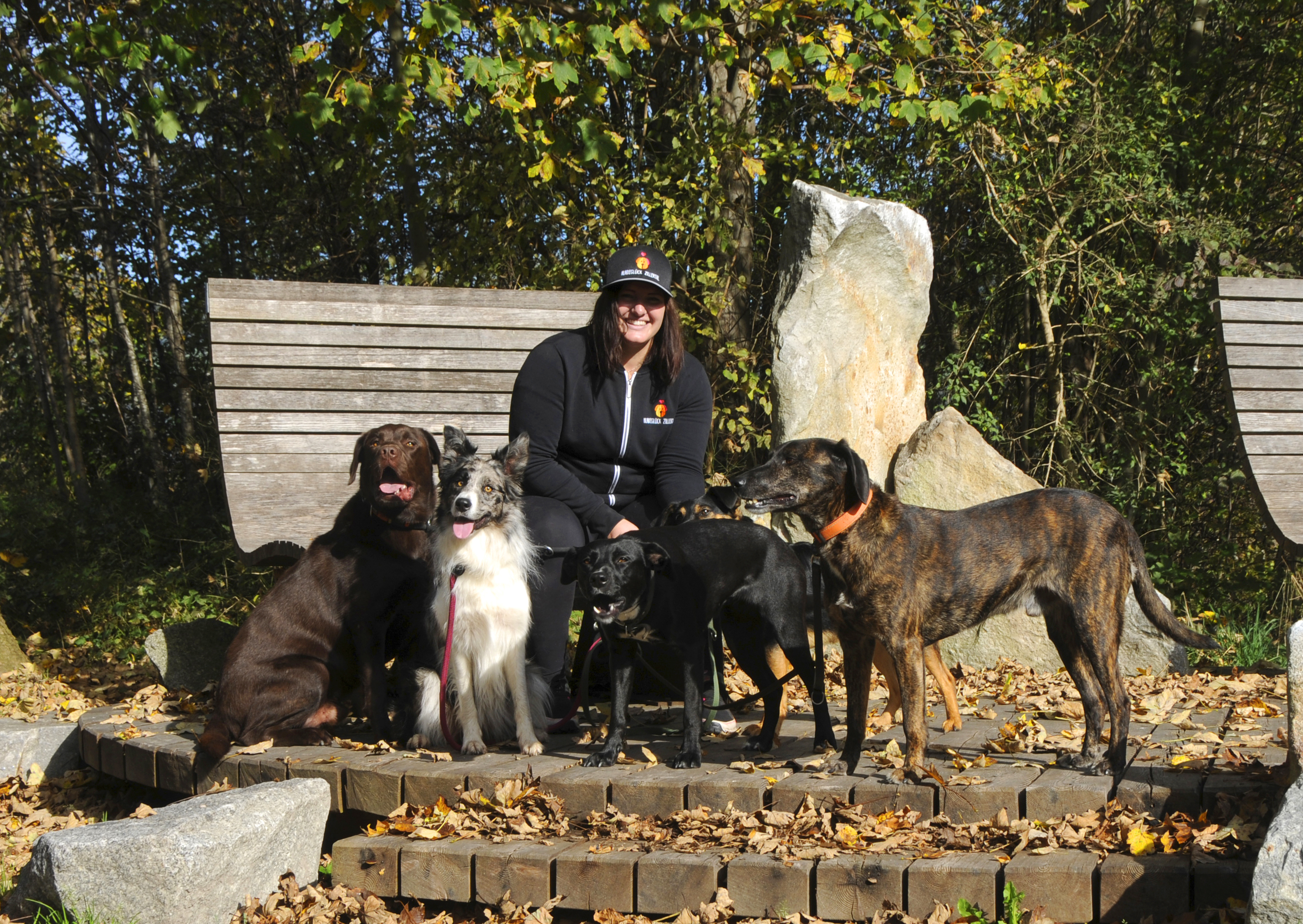 mys-Hundeglück Zillertal-Hundeglück Zillertal