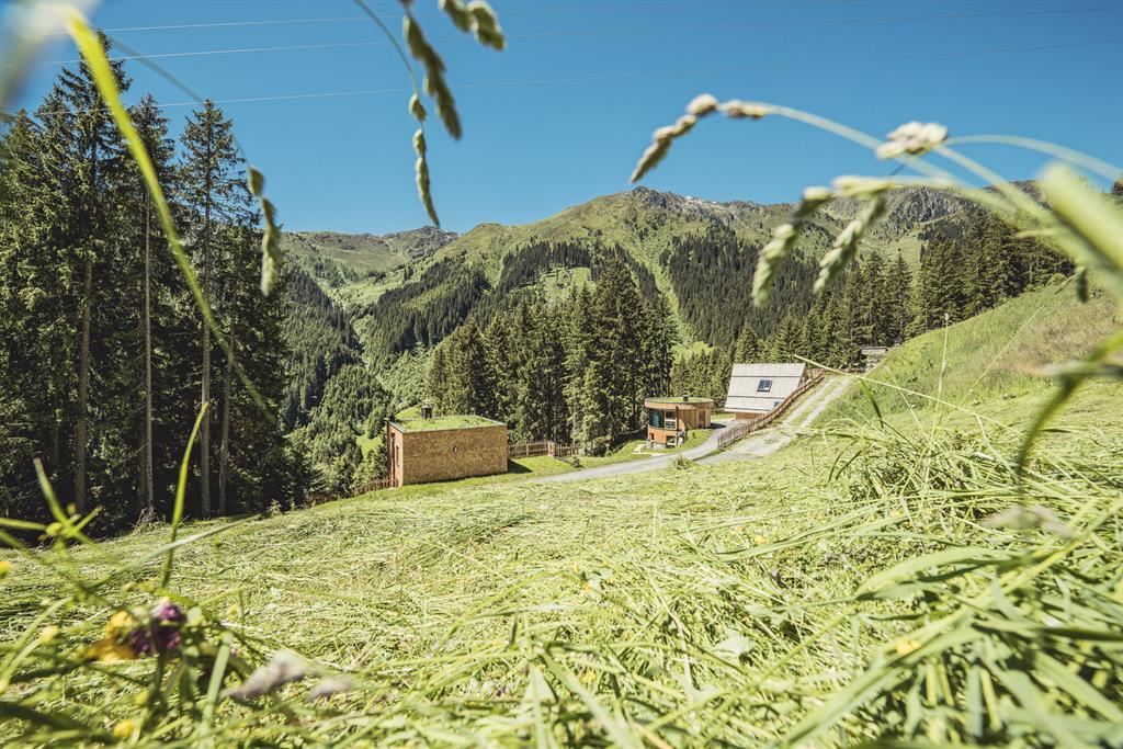 Das Bild zeigt eine sonnige Berglandschaft mit frisch gemähtem Gras im Vordergrund, dichten Nadelwäldern und einigen Hütten an einem Hang – umgeben von grünen Hügeln unter strahlend blauem Himmel.