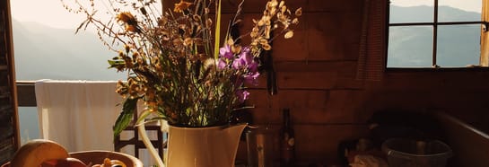 mhf-ferienhaus-huette-mariella-van-der-zee