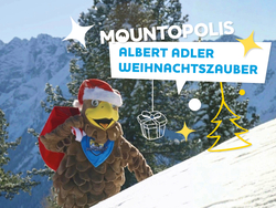 mys-ALBERT ADLER WEIHNACHTSZAUBER-Albert Adler Weihnachtszauber in Mountopolis