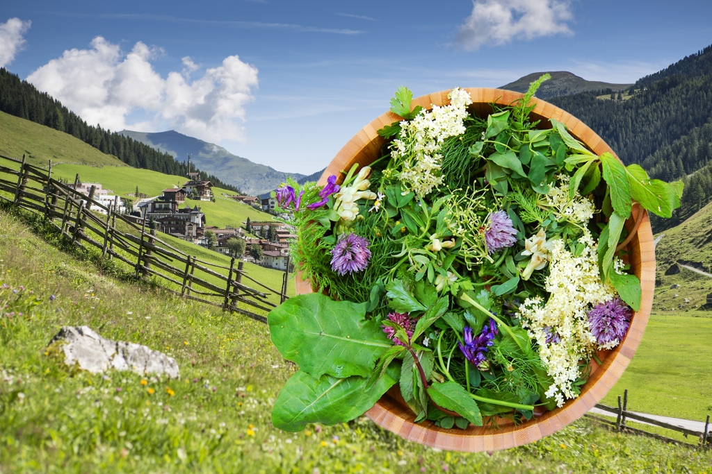 Wild herbs walk in Tux