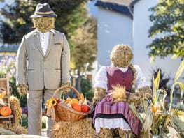 mhf-zillertaler-bauern-musikherbst-rosi-on-tour-foto-thomas-eberharter-photography.jpg myBauernherbst Adventure