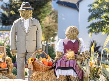 mhf-zillertaler-bauern-musikherbst-rosi-on-tour-foto-thomas-eberharter-photography.jpg myBauernherbst Adventure
