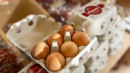 mys-Hofladen Edenlehen-Hofladen_02-w1000-h1000.jpg