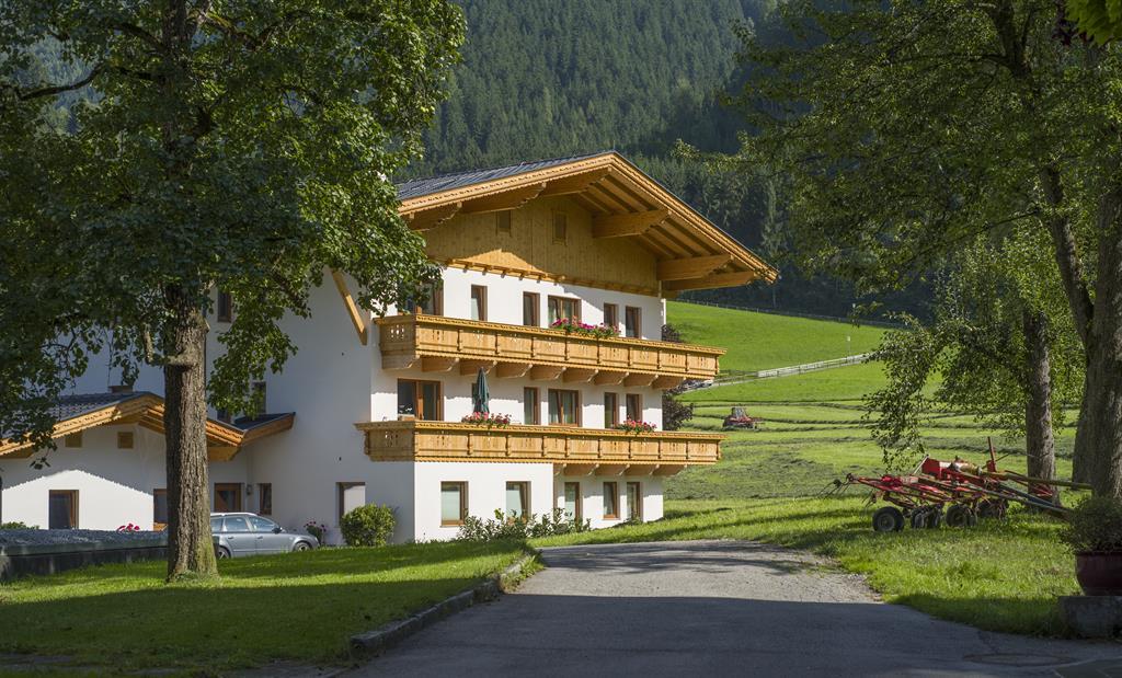 feratel-Apart Geisler - Apart Geisler Mayrhofen - Sommer