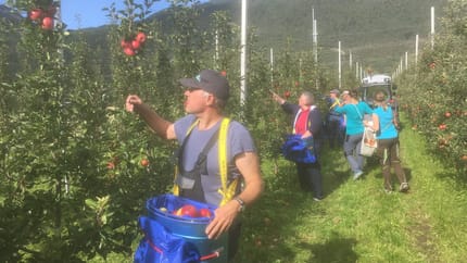 myregio-Manneshof Obstmanufaktur