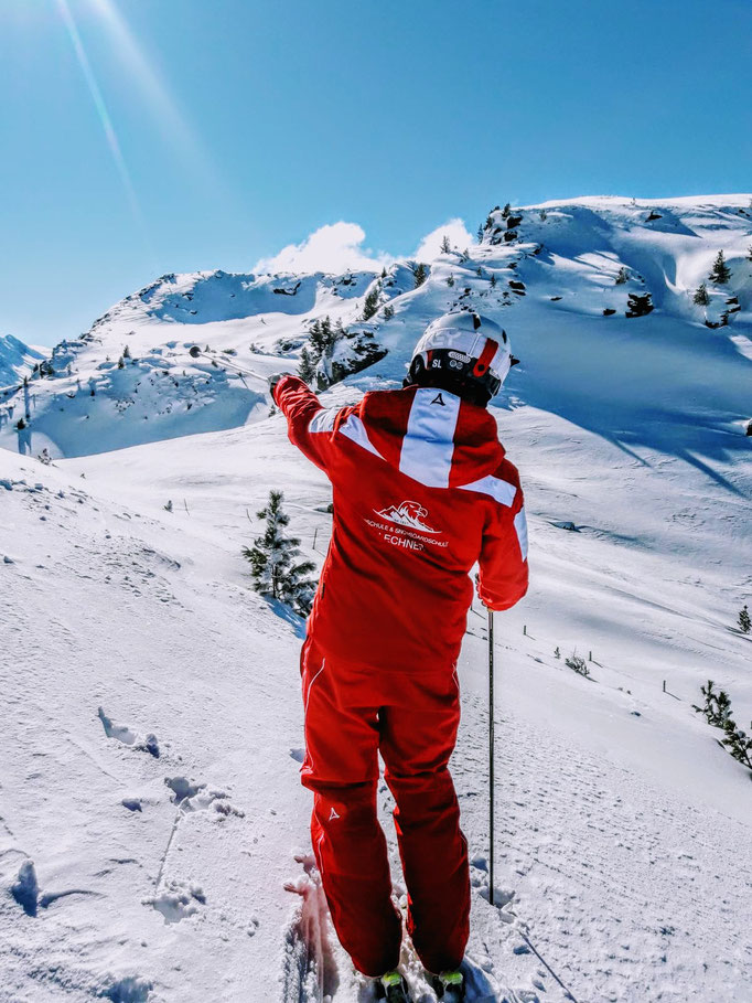 mys-Skischule Lechner Zell - Anfänger Skikurs für Erwachsene 4h/Tag -Skilehrer