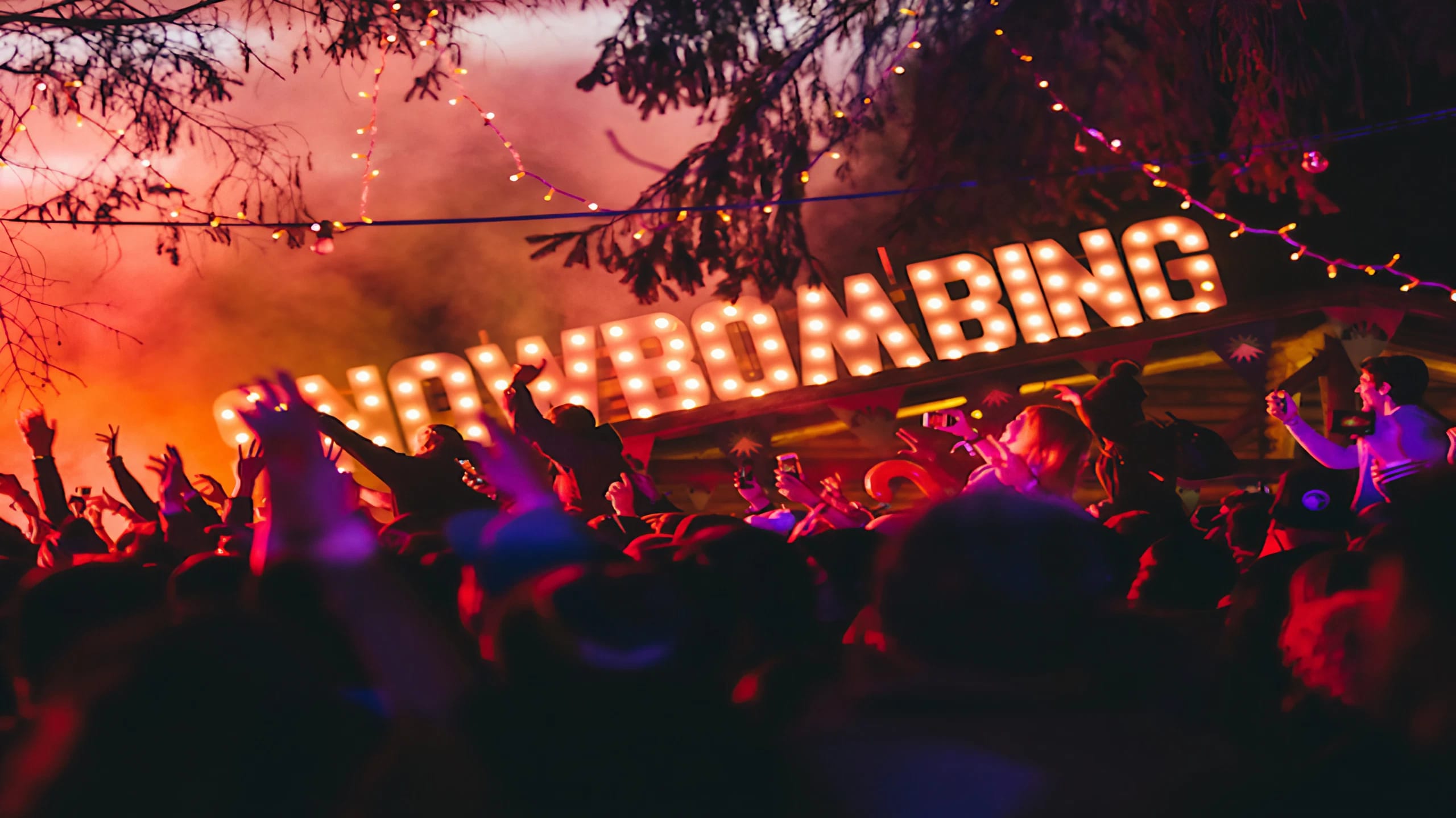 Das Bild zeigt ein feierndes Publikum am Waldfestplatz 