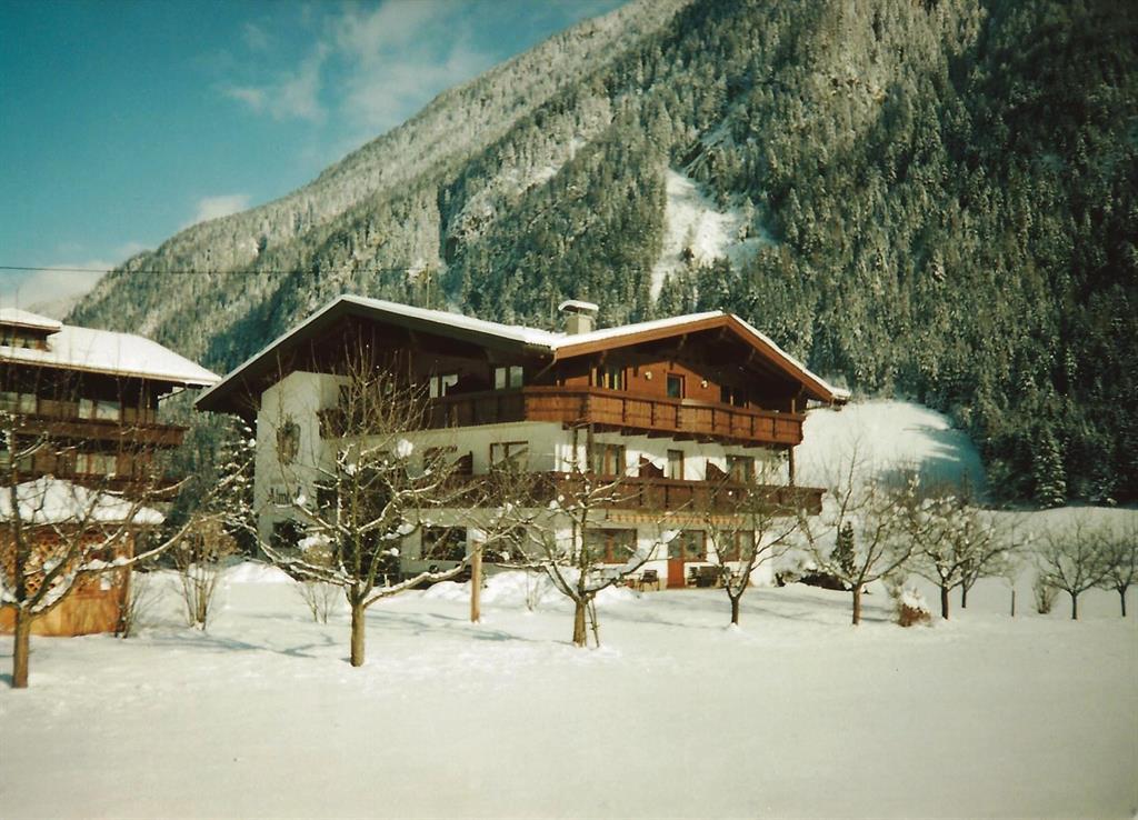 feratel-Hotel Garni Almhof - Hotel Garni Almhof - Winter 2