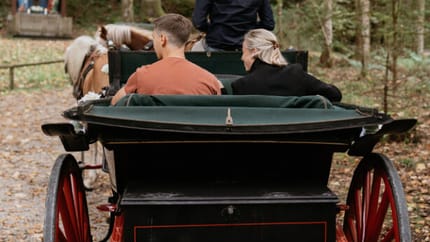 mys-Carriage ride with friends or the family with the Finkenberger Sattel-Kutsche Finkenberger Sattel