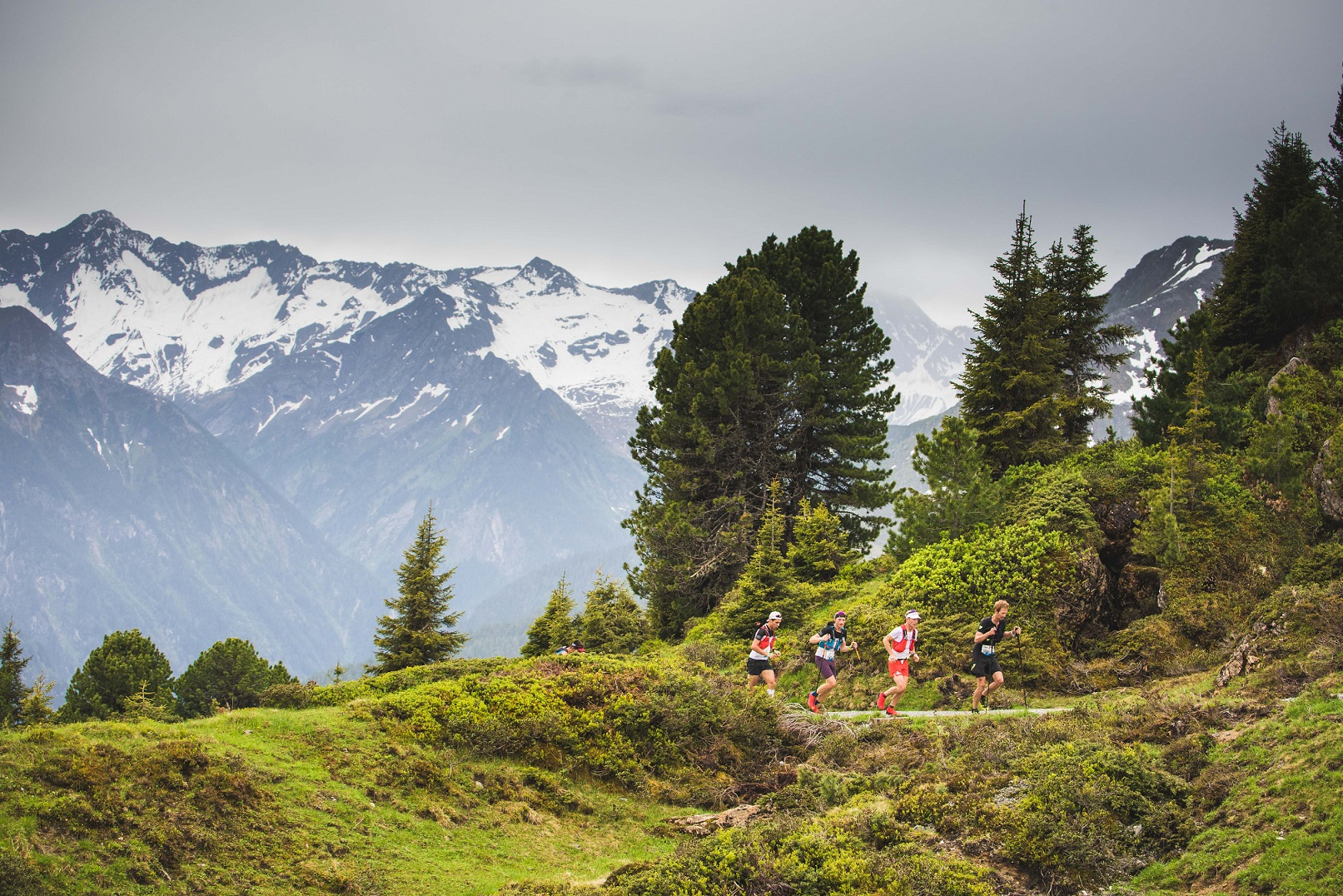 Das Bild zeigt Läufer in einer Waldpassage mit schneebedeckten Bergen im Hintergrund.
