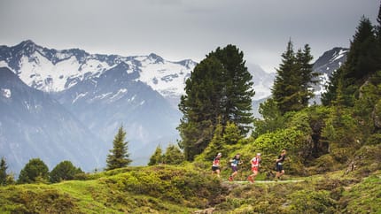 Das Bild zeigt Läufer in einer Waldpassage mit schneebedeckten Bergen im Hintergrund.