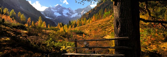mhf-urlaub-herbst-mayrhofen-hippach-landschaft-foto-paul-suerth.jpg © Paul Sürth
