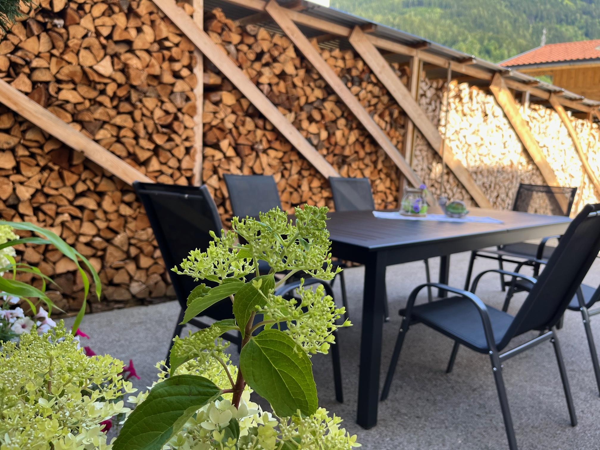 feratel-Apart Steffi - IMG_1217