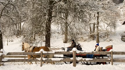 mys-Kiendlerhof-Kutschfahrt Kiendlerhof