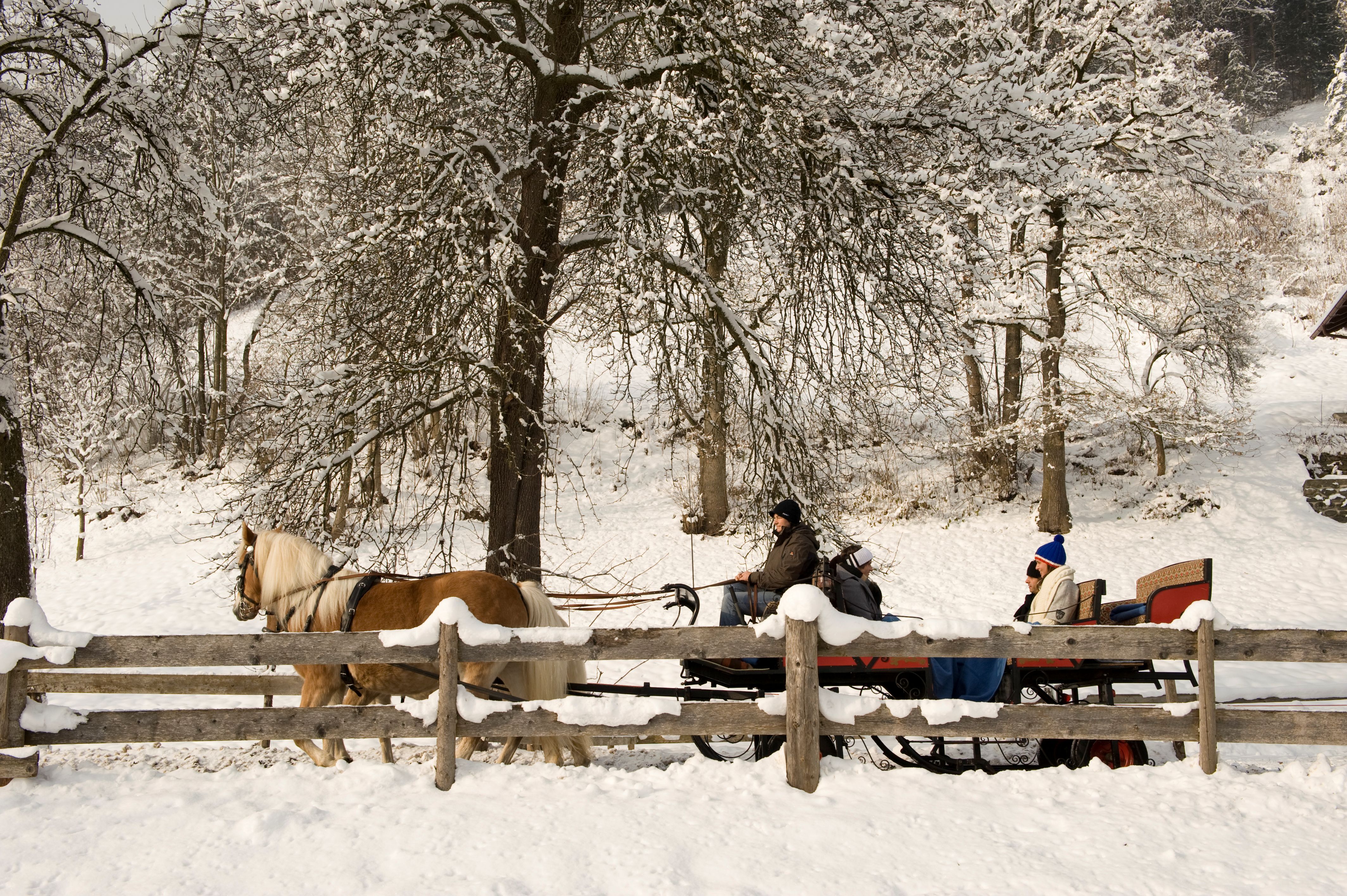 mys-Kutschfahrten am Kiendlerhof-Kutschfahrt Kiendlerhof