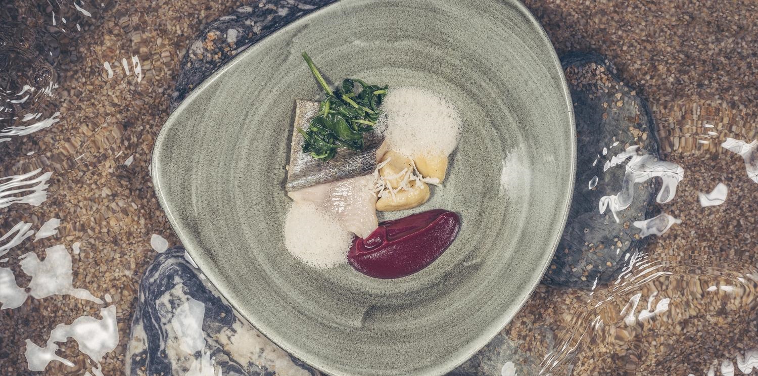 mys-Gourmet Menu at Sieghard-Hotel & Restaurant Sieghard - Sieghard - Genießermenü