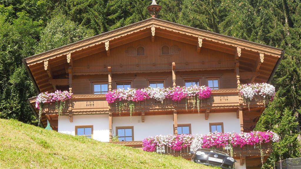 feratel-Haus Sommer 1