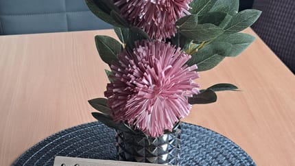 feratel-Ferienwohnung Steinberger - 20240421_073846