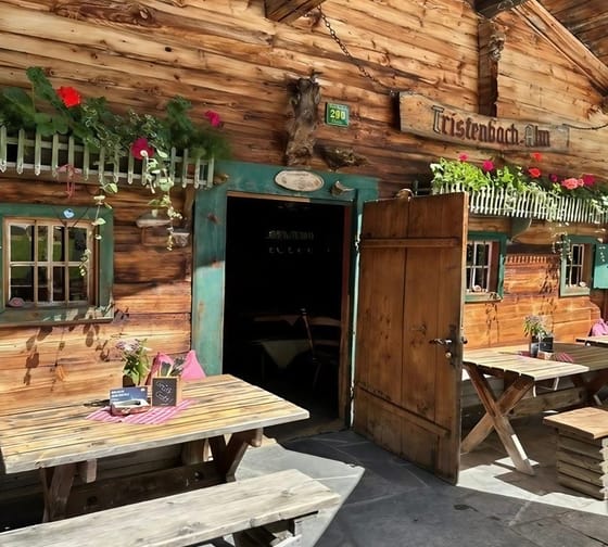 mys-Tristenbachalm 1.000m - Ginzling-Tristenbachalm Sommer