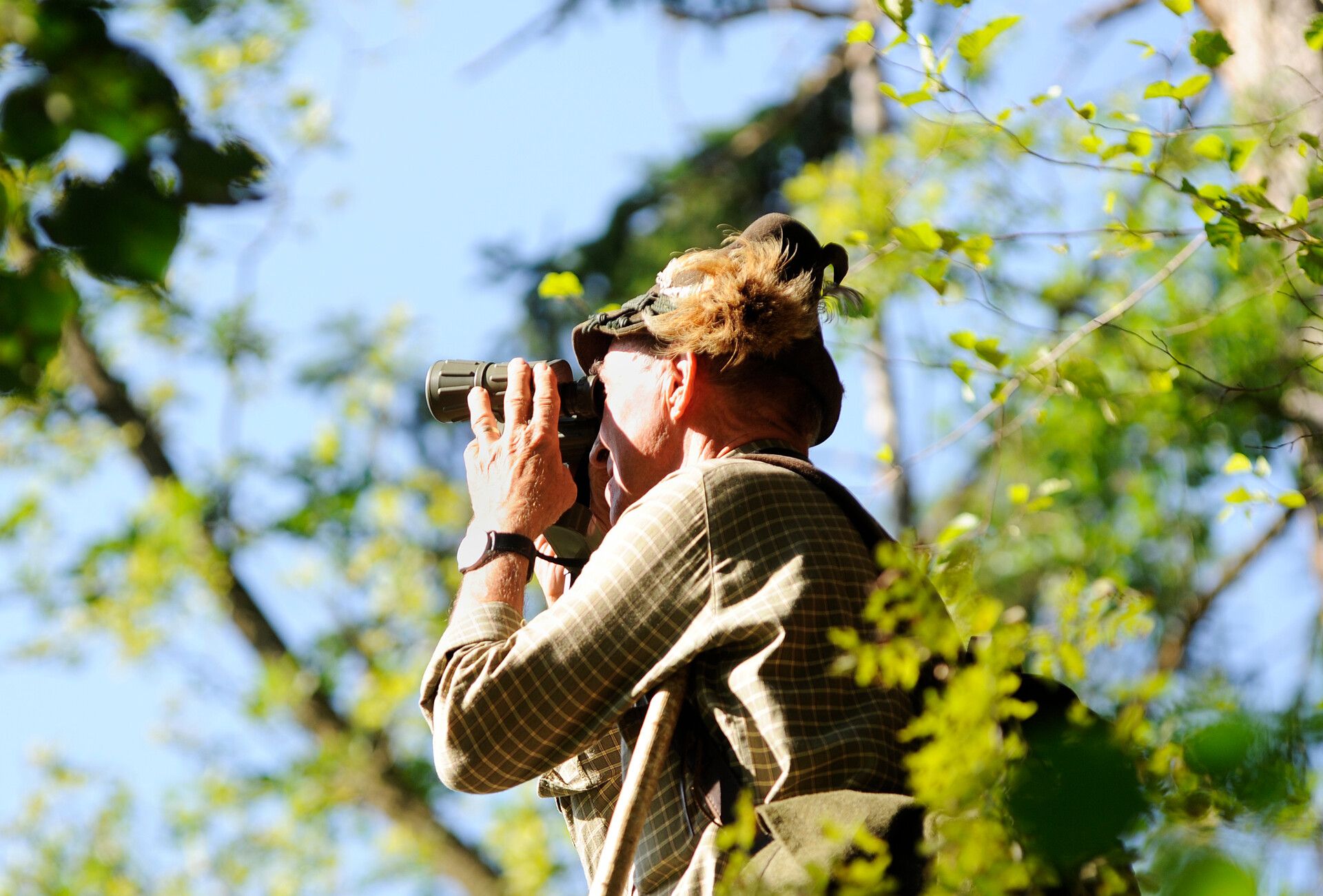 Ein Jäger in traditioneller Kleidung beobachtet die Natur mit einem Fernglas in der Ferienregion Mayrhofen-Hippach im Zillertal, Tirol. Umgeben von grünen Bäumen und strahlendem Sonnenschein. Naturerlebnis im Sommer.