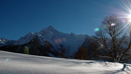 feratel-Haus Alpenrose - Alpenrose & Tristnerblick - ahornspitzl