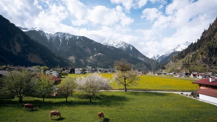 feratel-Apart Garni Innerwiesn - Aussicht