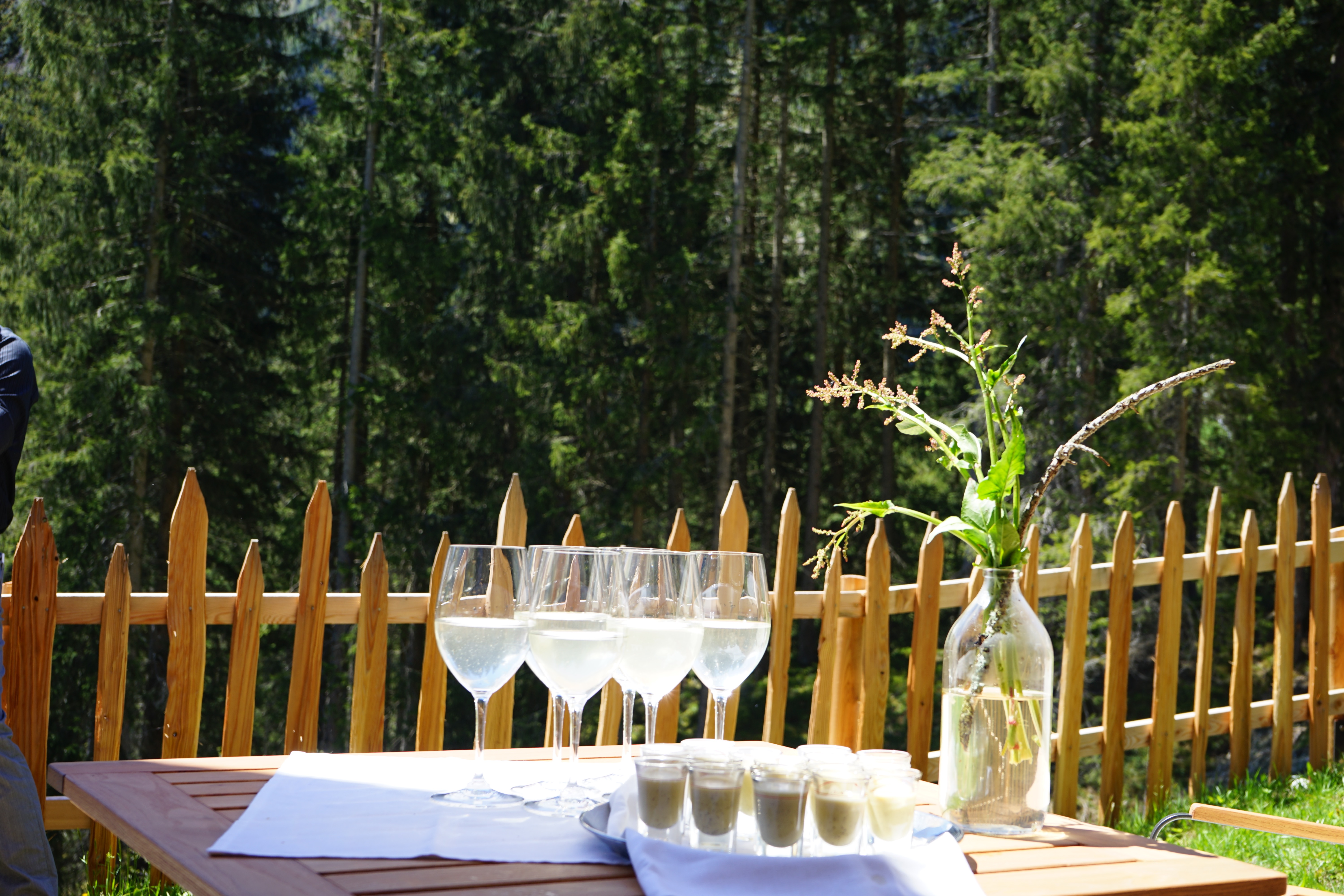 mys-Wine hike on the Hochschwendberg-Aperitif Wein