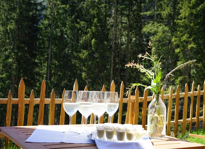 mys-Wine hike on the Hochschwendberg-Aperitif Wein