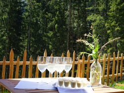 mys-Wine hike on the Hochschwendberg-Aperitif Wein