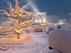 feratel-Apart Central – Premium Mountain&Garden - Baum mit Penkenbahn m Logo2000