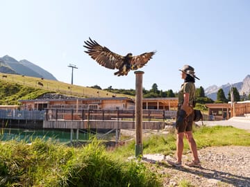 mbb-AdlerBühne_Waltraud.jpg Day Trip Destinations