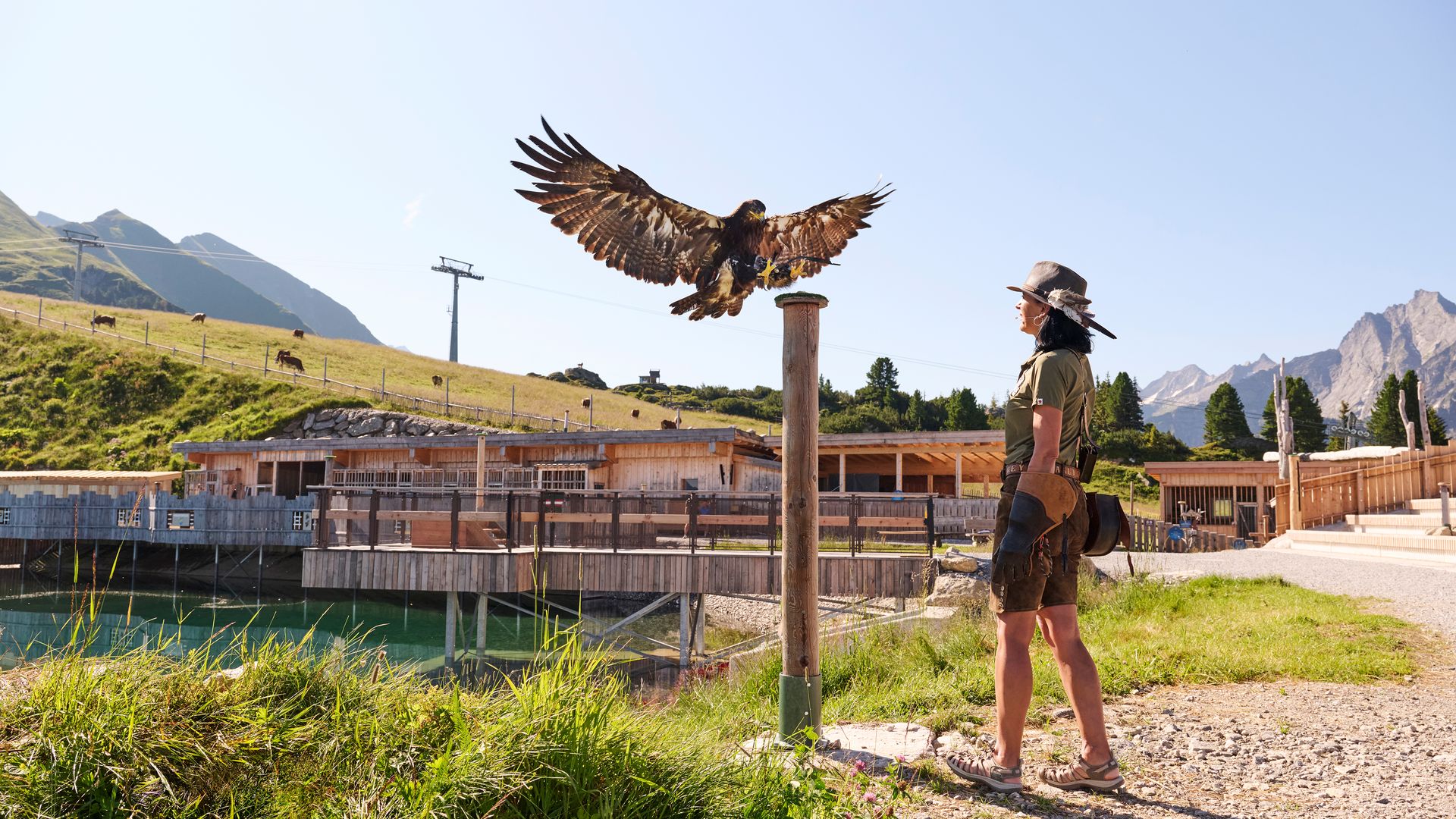 Adlerbühne Ahorn Adlerbühne Ahorn