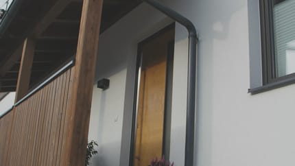 Eingangsbereich eines modernen Hauses mit Treppe, Pflanze und Holzdetails an der Fassade.