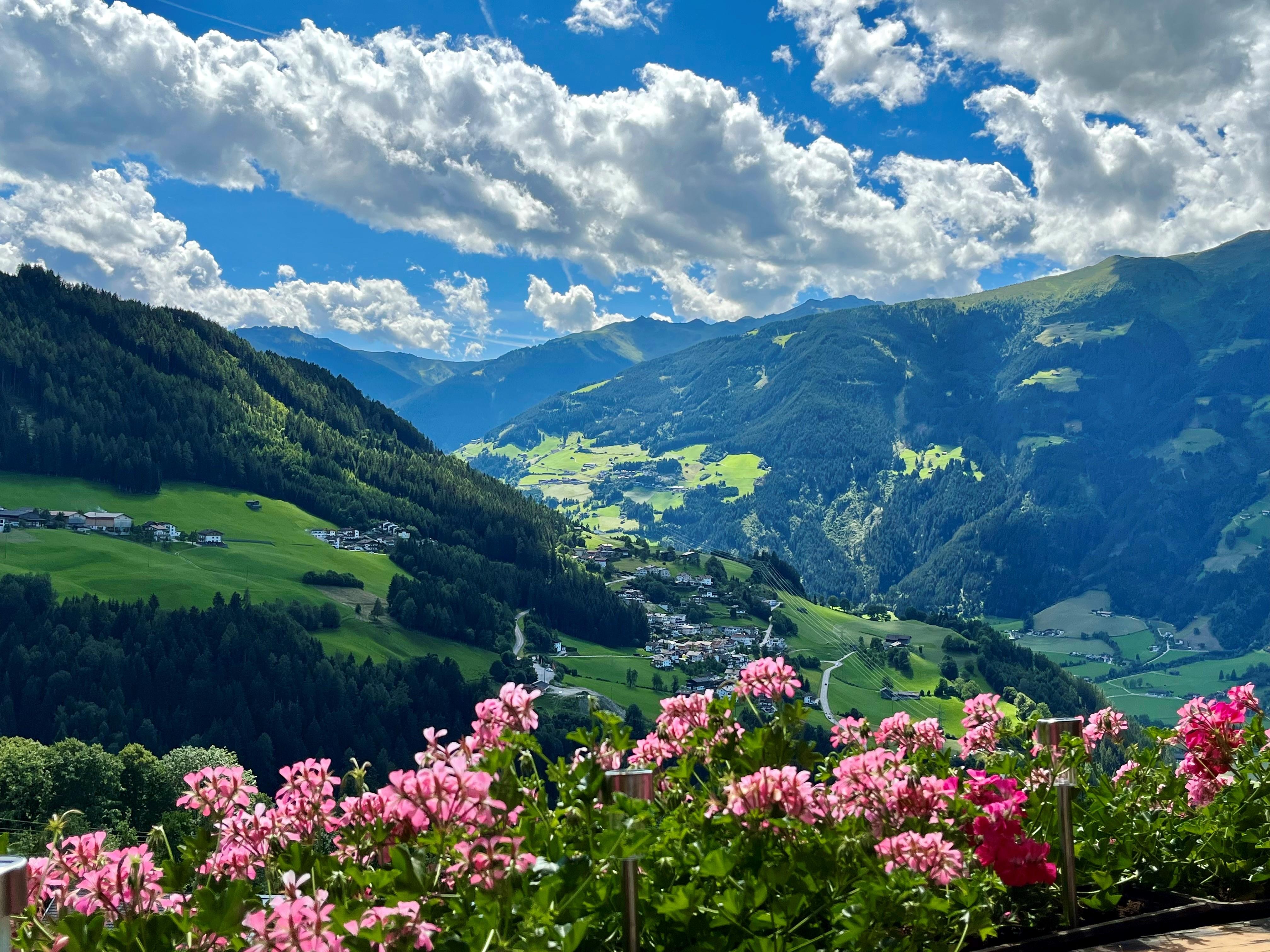 feratel-Landhaus Kathrin u. Manfred Höllwarth - Panoramablick vom Landhaus Höllwarth