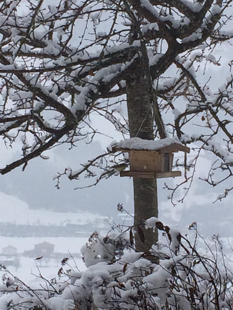 feratel-Lindenhof - Natur pur