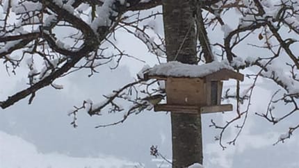 feratel-Lindenhof - Natur pur
