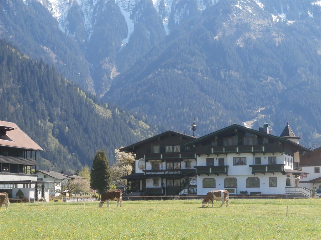 feratel-Haus Mittenfeld - Haus Mittenfeld Sommer 2