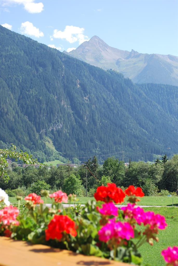 feratel-Blick vom Balkon