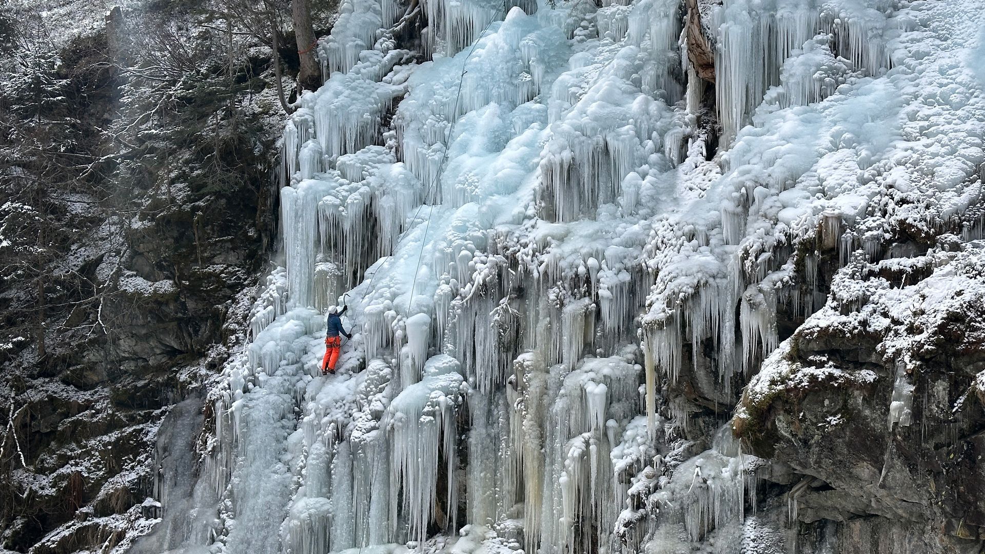 Ice climber in Zillertal Ice Climbing Park near Ginzling, Tyrol, climbing a steep ice wall with large icicles beside rocky cliff and snowy trees.