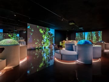 mys-Pleasure experience small at BrauKunstHaus-Brau Kunst Haus Pleasure experience small at BrauKunstHaus